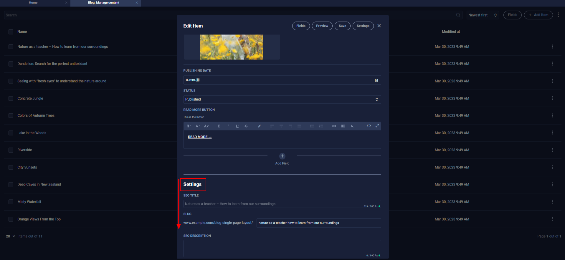 SEO-in-Collections-EN-3.png