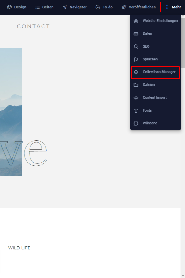 SEO-in-Collections-DE-1.png