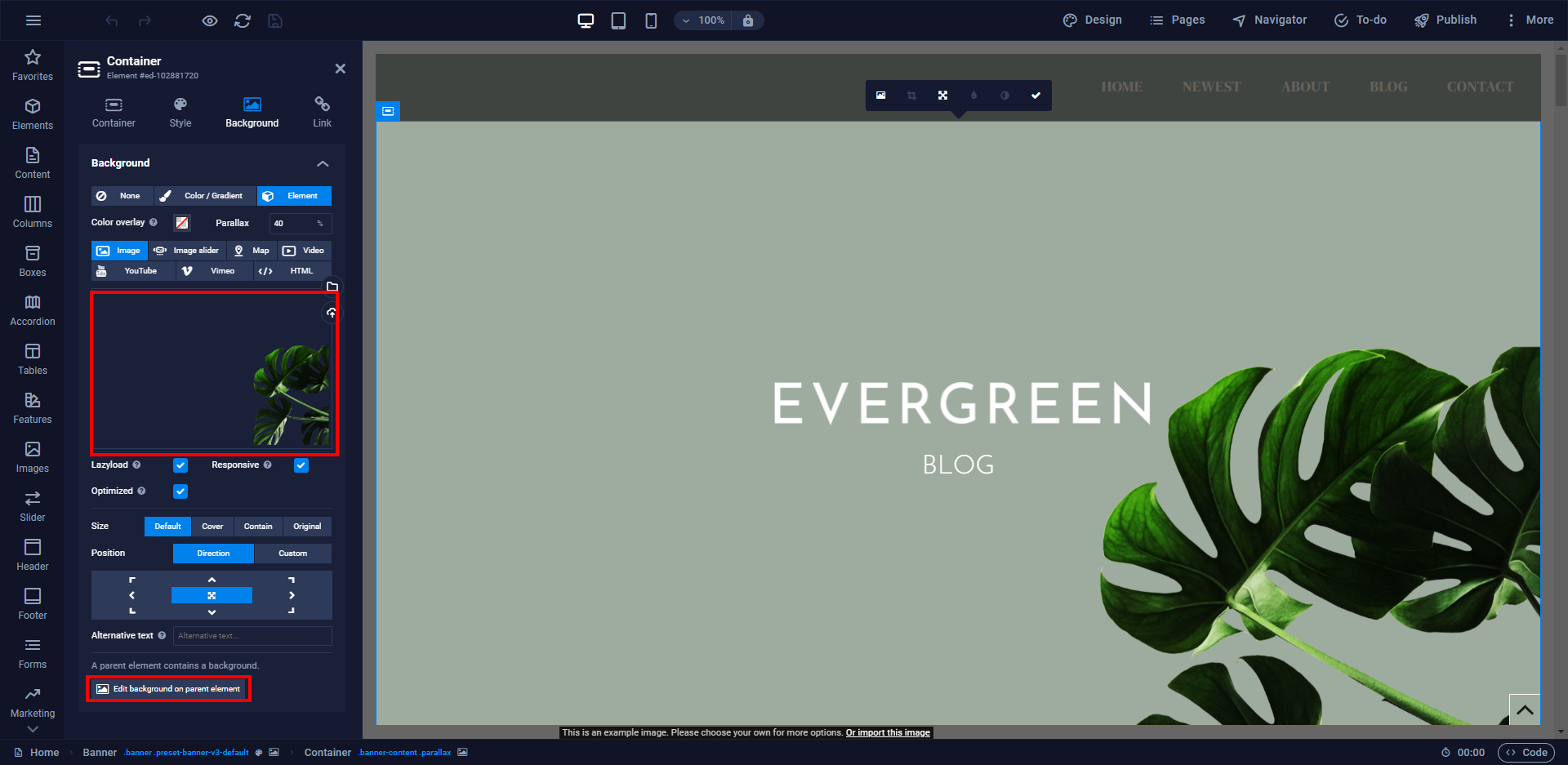 Evergreen-background.png