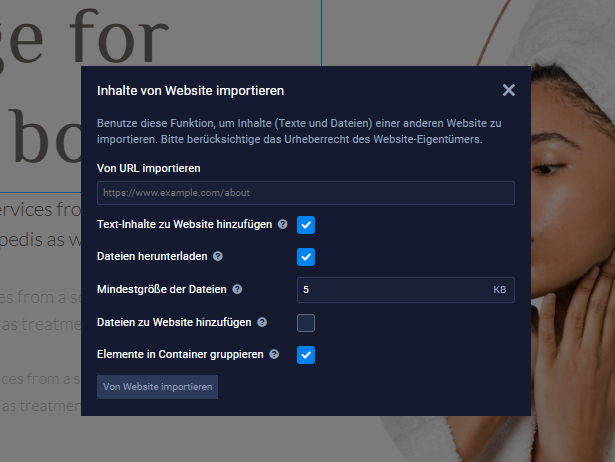 Import-Einstellungen.png